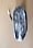 Luxis front light