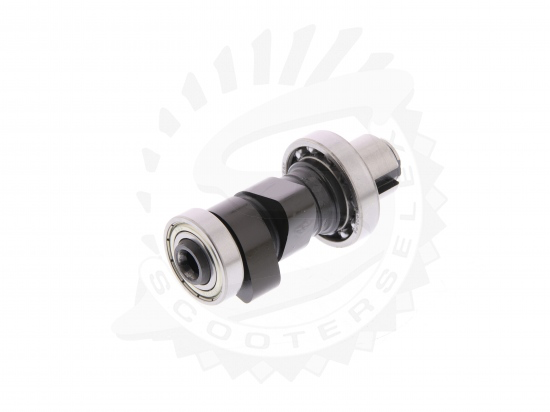 Cam Shaft